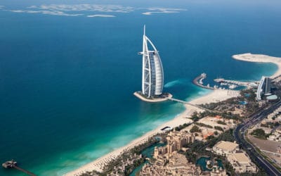 The Sheikh Story