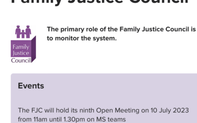 News from the latest open Family Justice Council meeting – Guidance imminent!