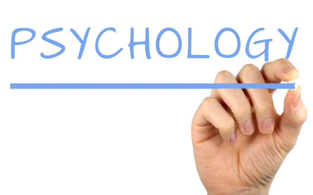 The Cafcass in-house psychological service – our unanswered questions