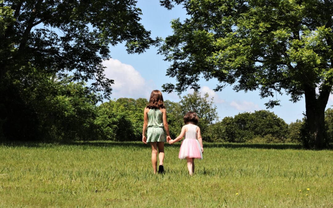 Stability and Siblinghood: Balancing primary attachment and biological bonds